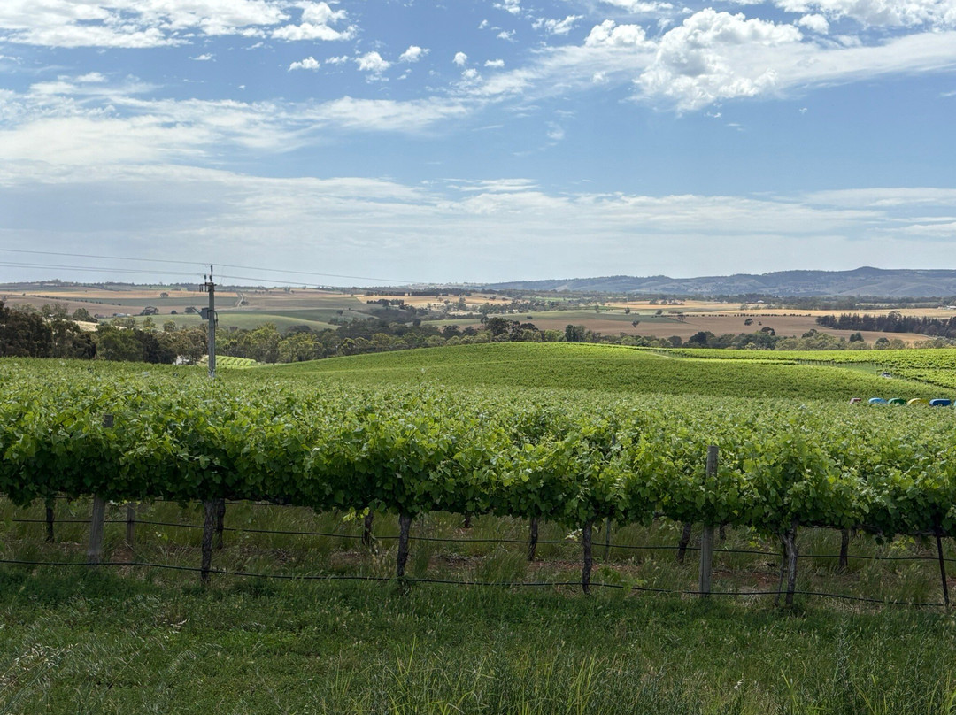 1837 Barossa-林道必去景点