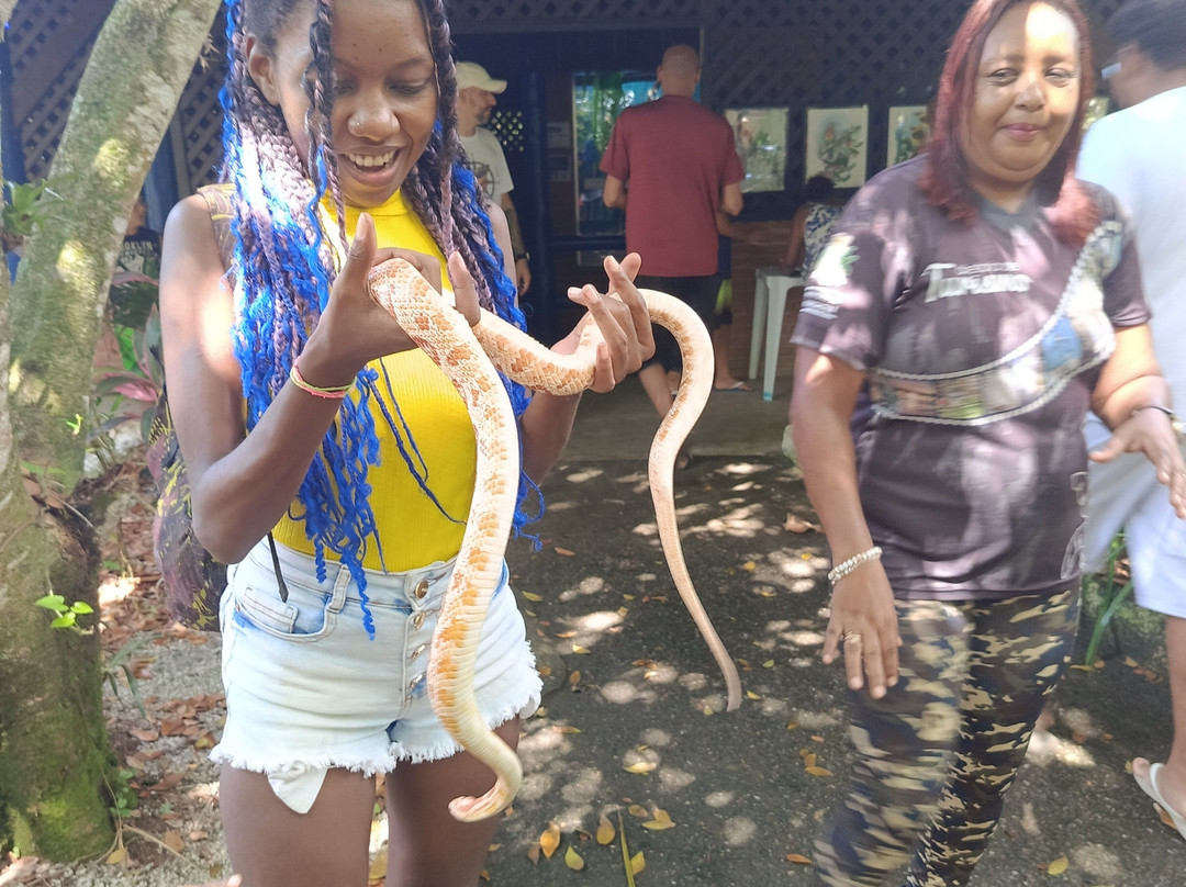 Parque Ecológico A Tribuna-Mongagua必去景点