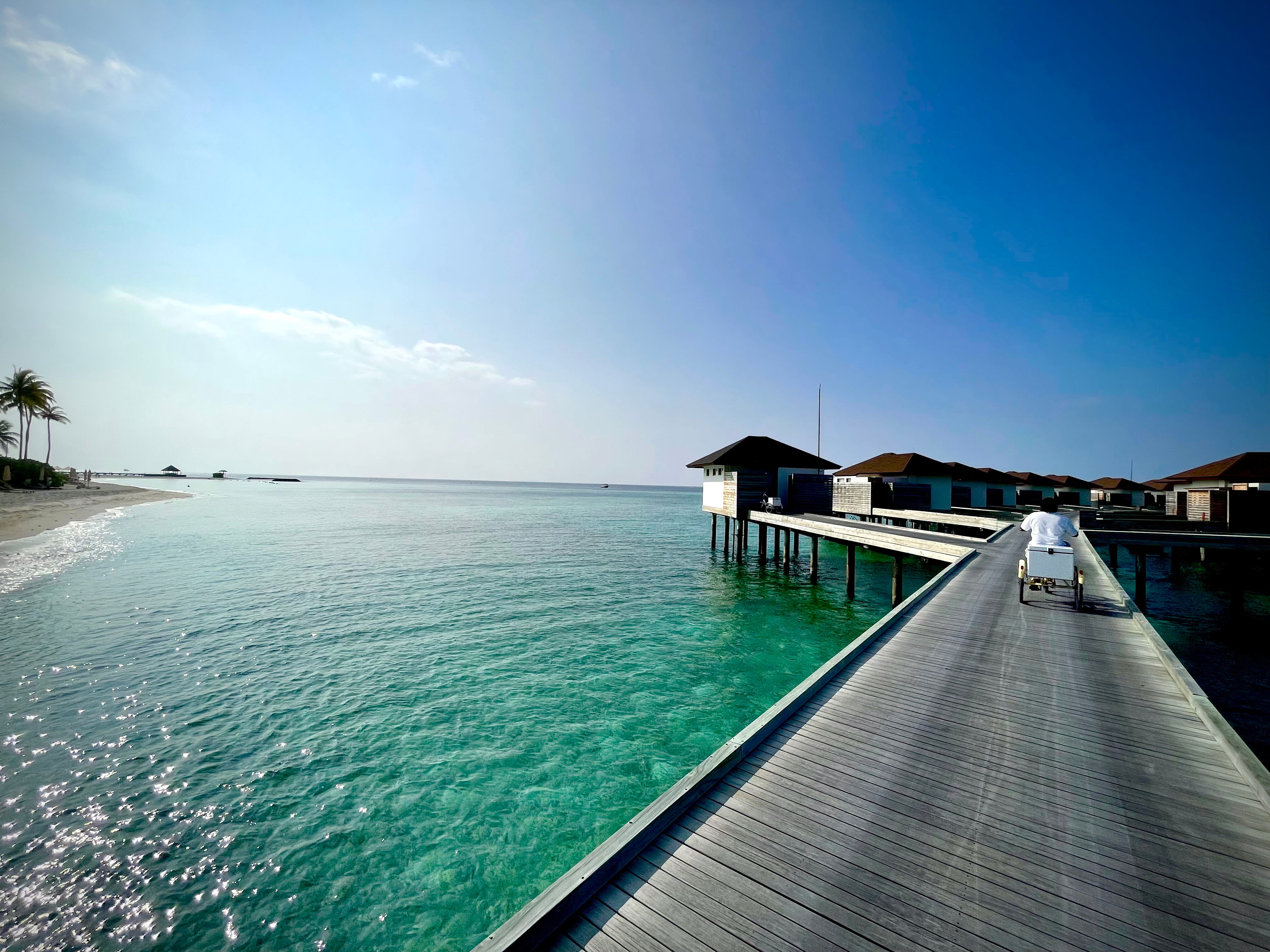 Avani+ Fares Maldives Resort-泳池