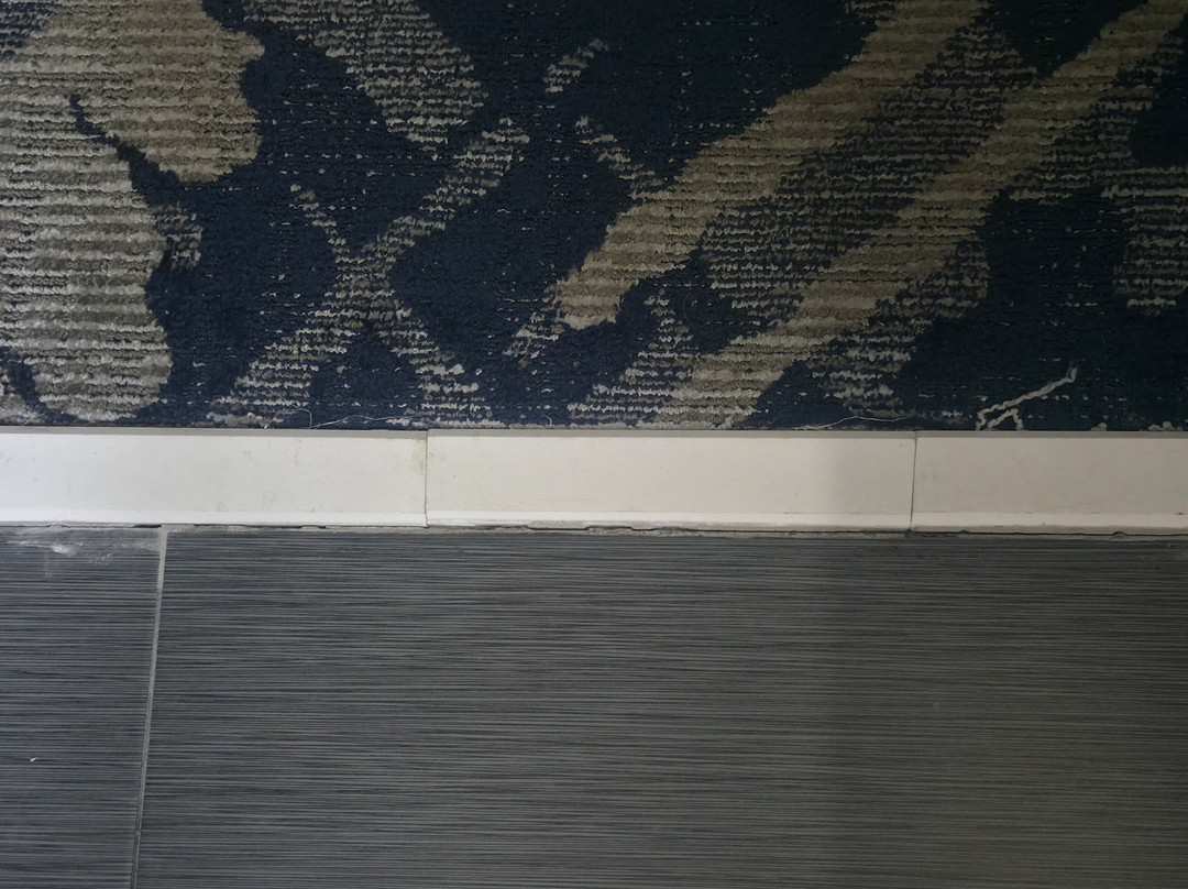 Best Western Savannah Airport Inn & Suites主图