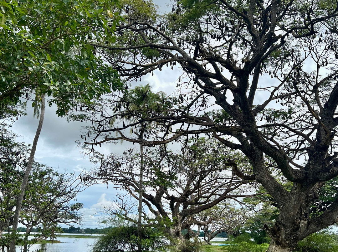 Fernando Tours Sri Lanka-Ja Ela必去景点