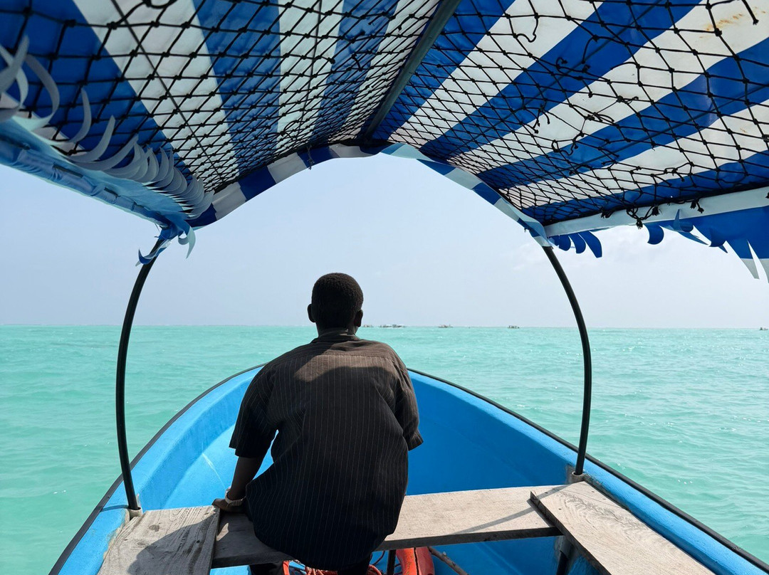 Jumanji Private Tours Zanzibar-Kidoti必去景点