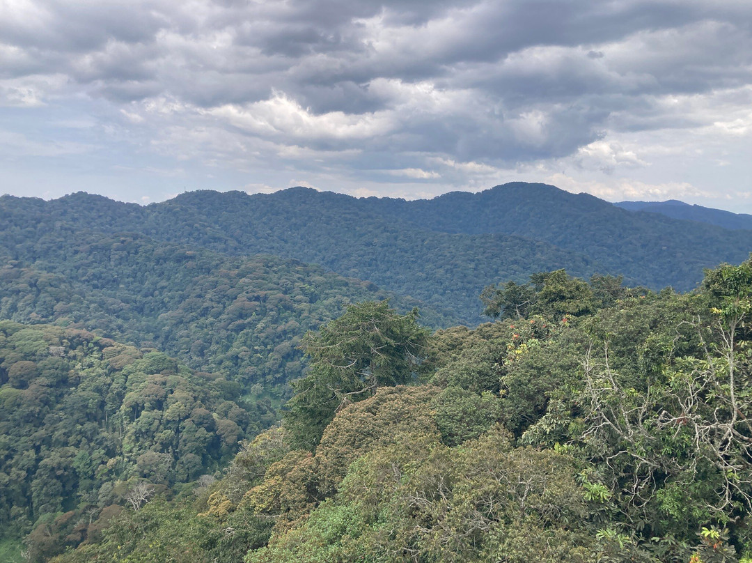 New Horizon Africa Safaris-吉佳利必去景点