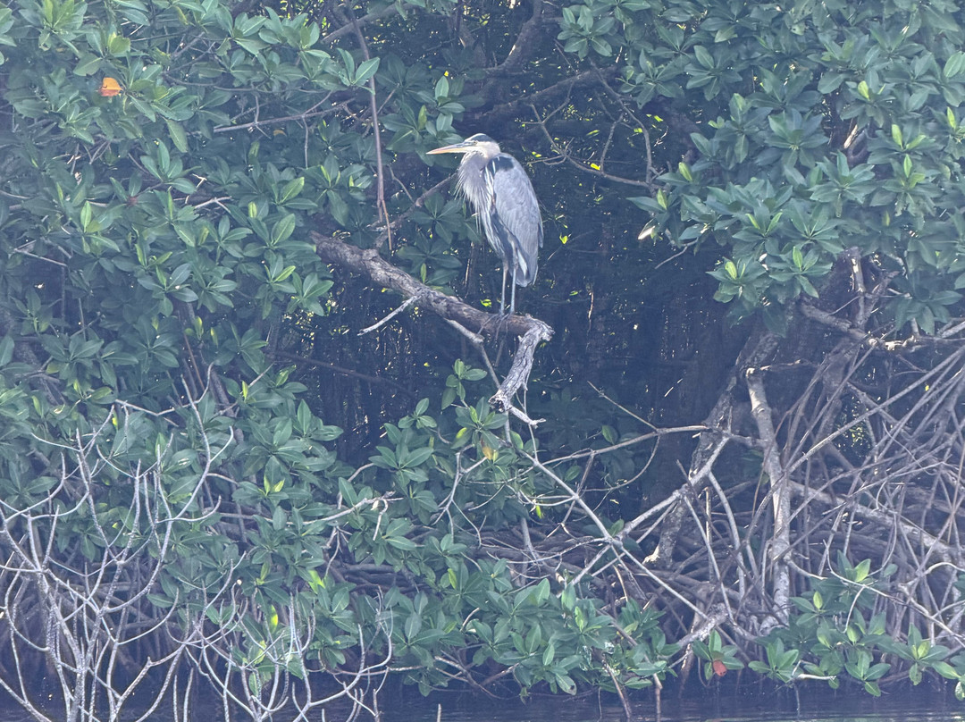 Puerto Maya Cancun-坎昆必去景点