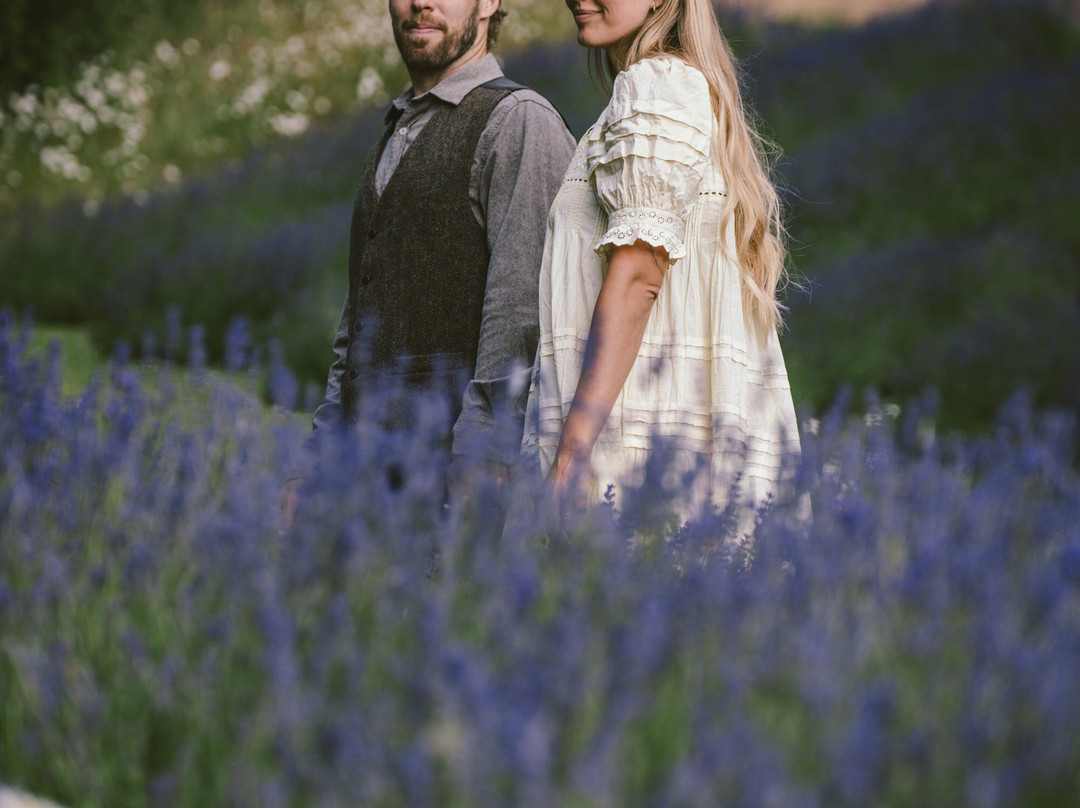 Lavender and Black-盐泉岛必去景点