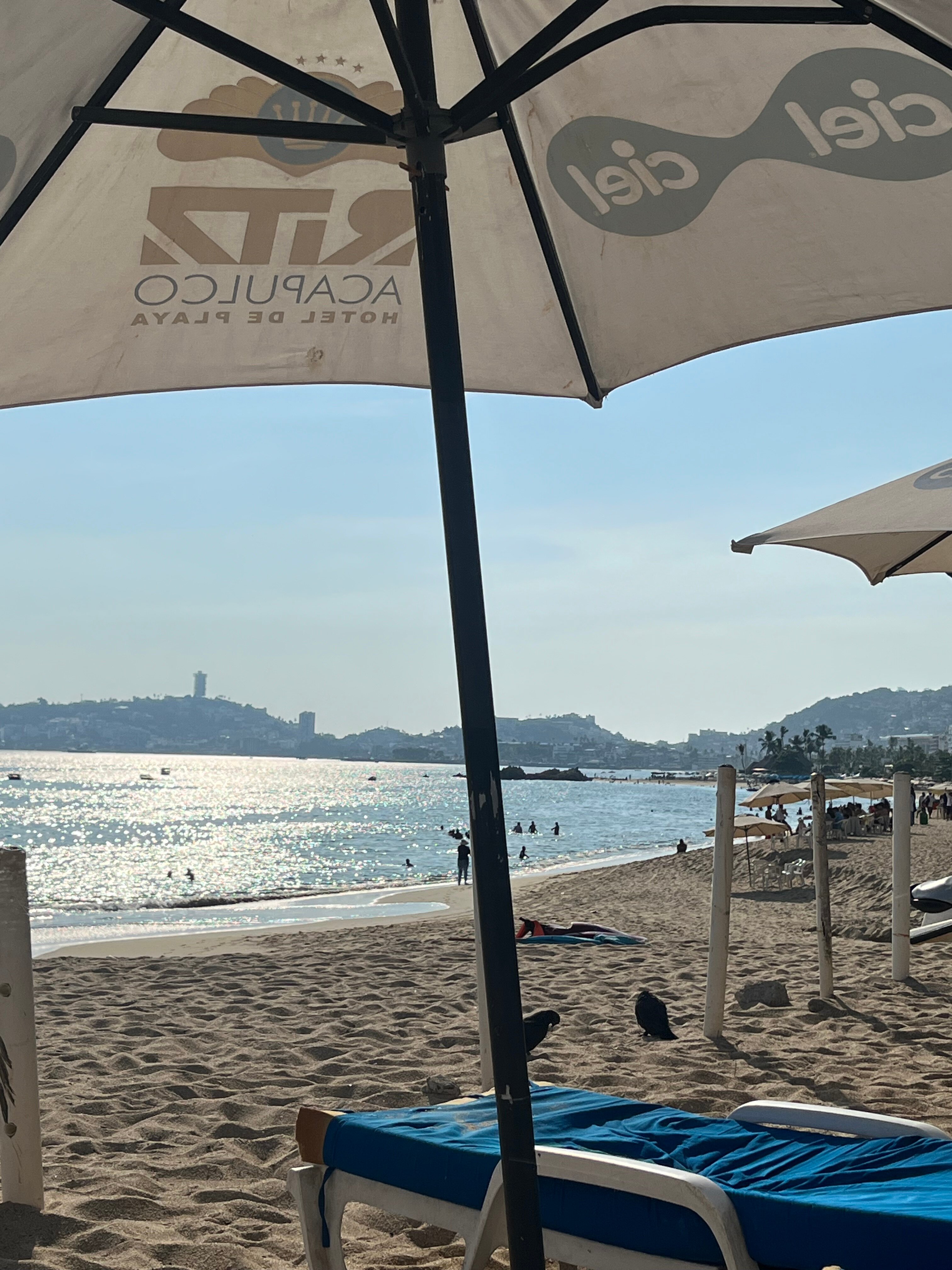 Ritz Acapulco-官方