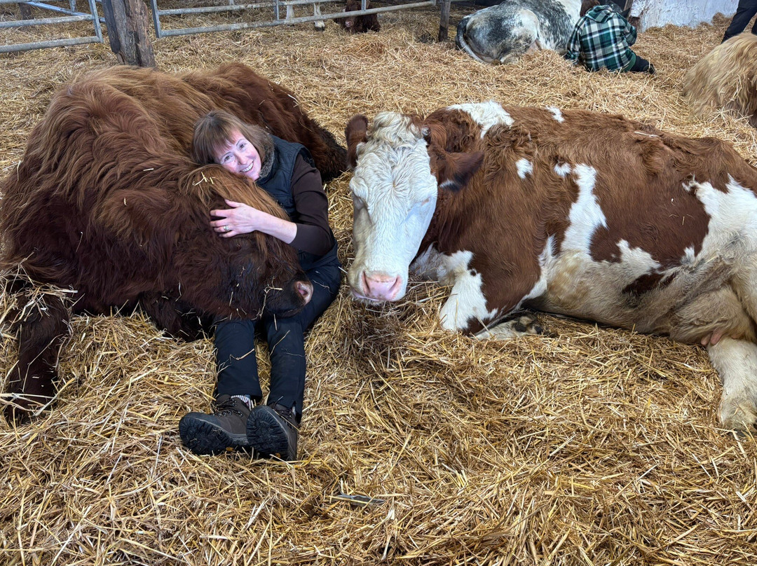 Dumble Farm-比弗利必去景点