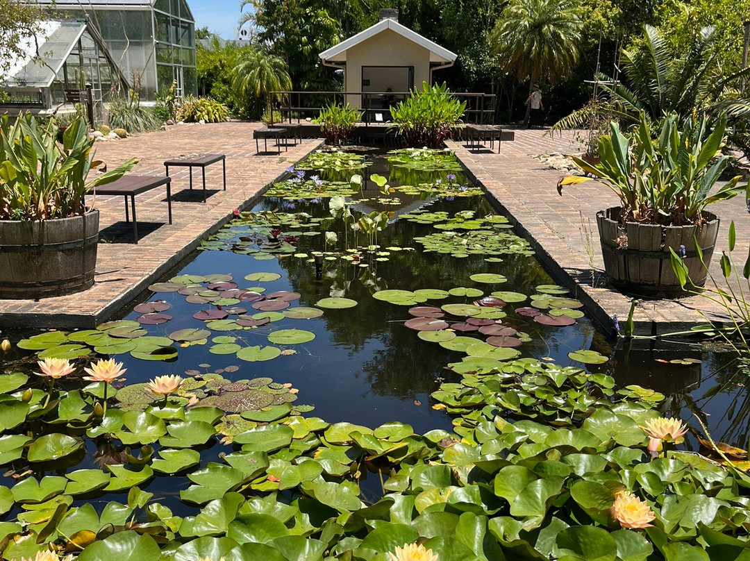 Stellenbosch University Botanical Garden-斯泰伦博斯必去景点