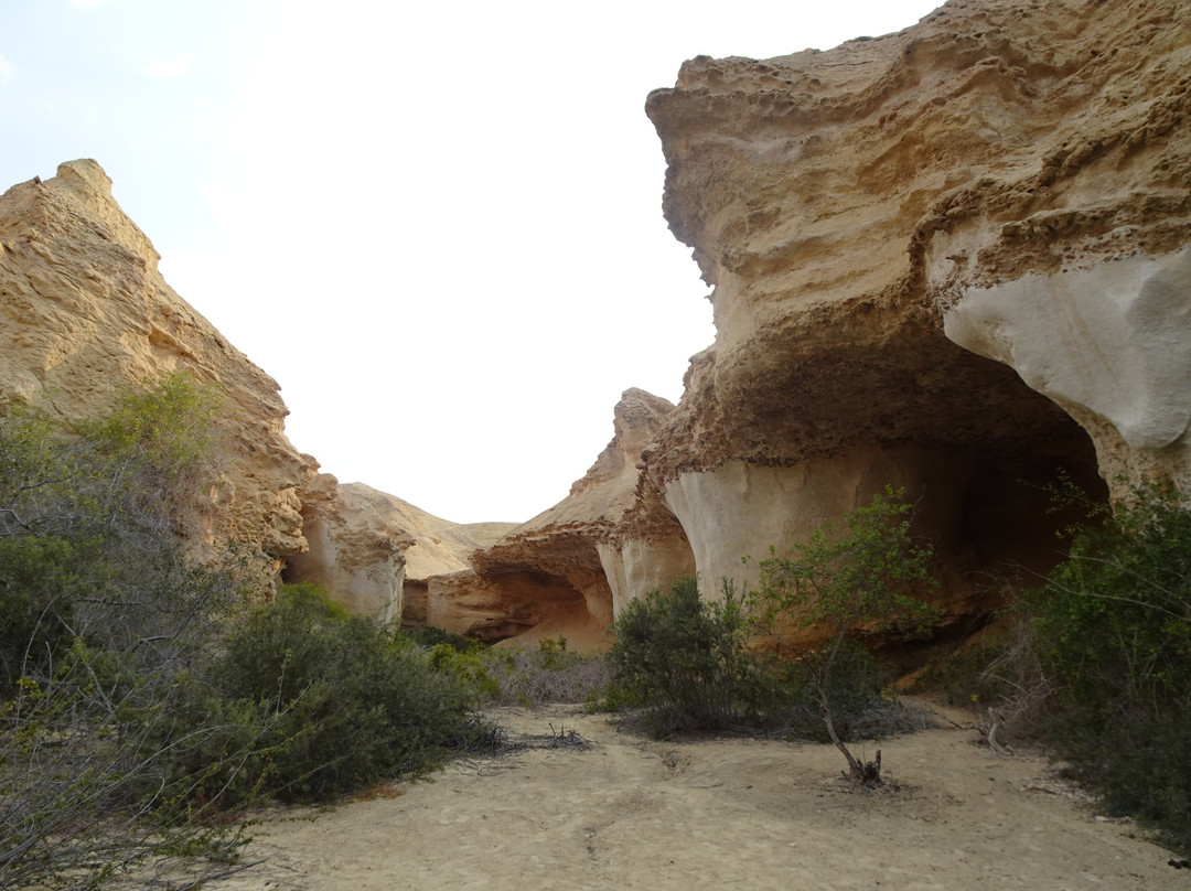 Iona National Park-Namibe必去景点