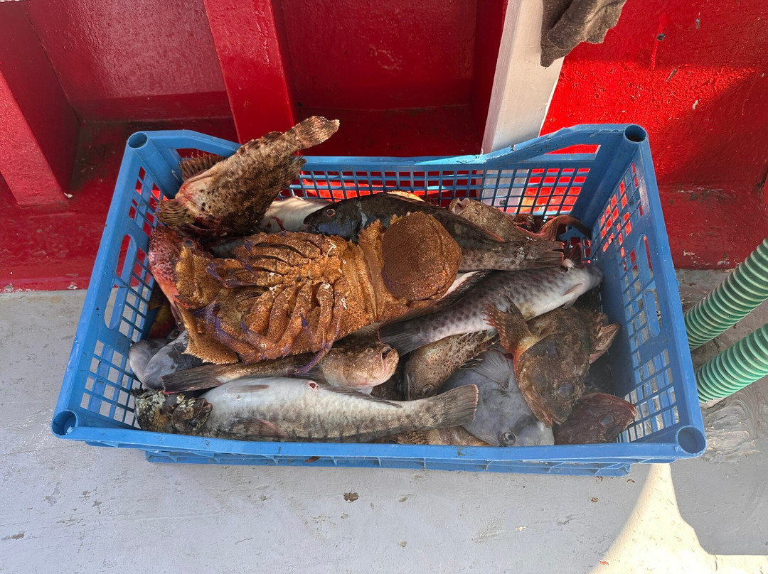 Naxos Fishing Trips By Stamatis-Agia Anna必去景点