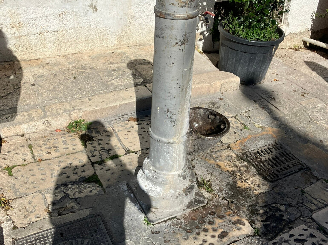 Fontana Piazza Antonio Lippolis Canonico-阿尔贝罗贝洛必去景点