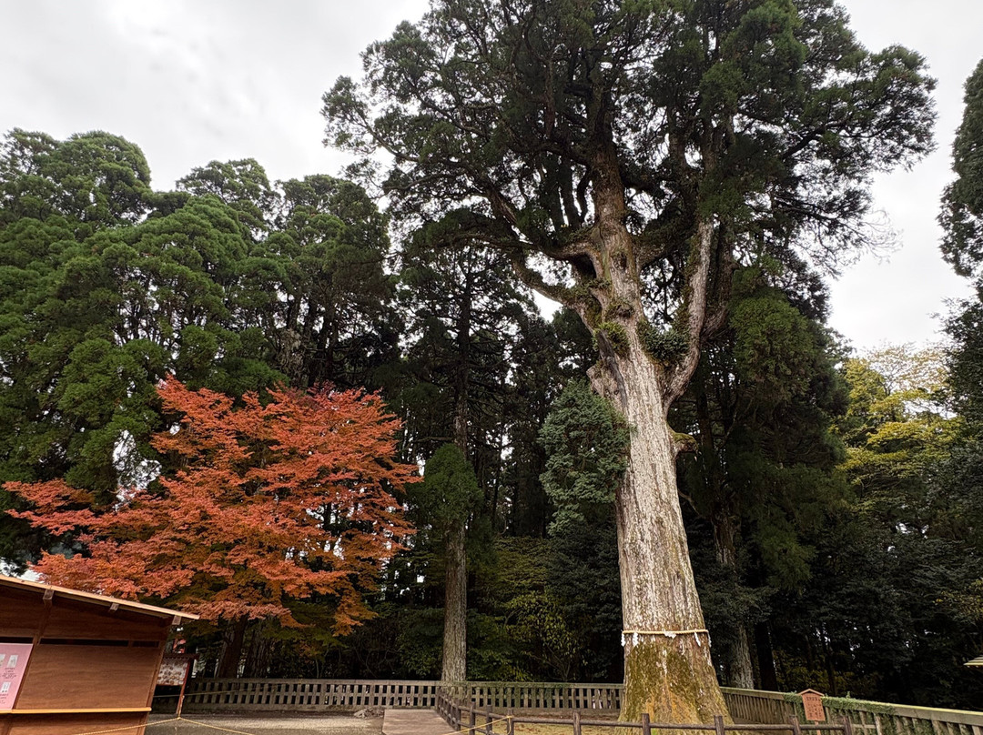 雾岛神宫-雾岛市必去景点