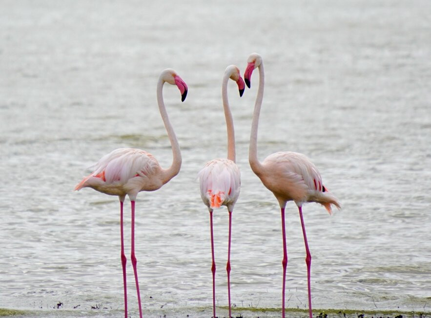 Tansania Reiseabenteuer SDL GmbH-柏林必去景点