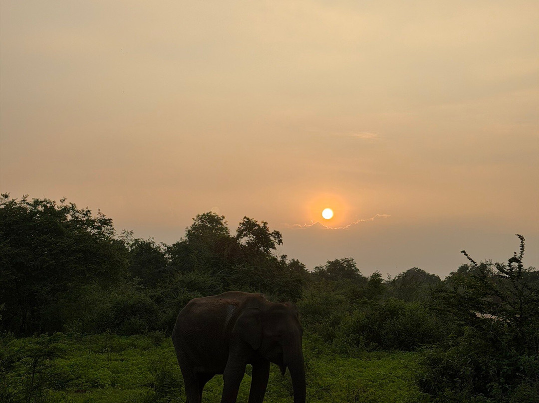 One & Only Travels-Kurunegala必去景点