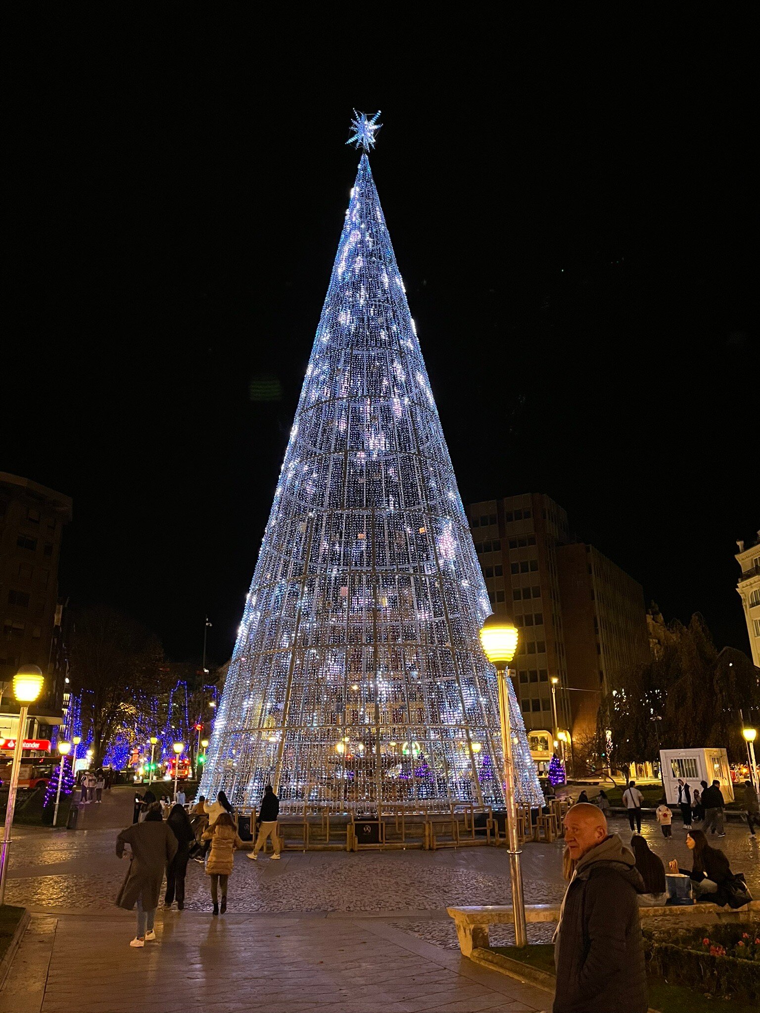 Petit Palace Arana-官方