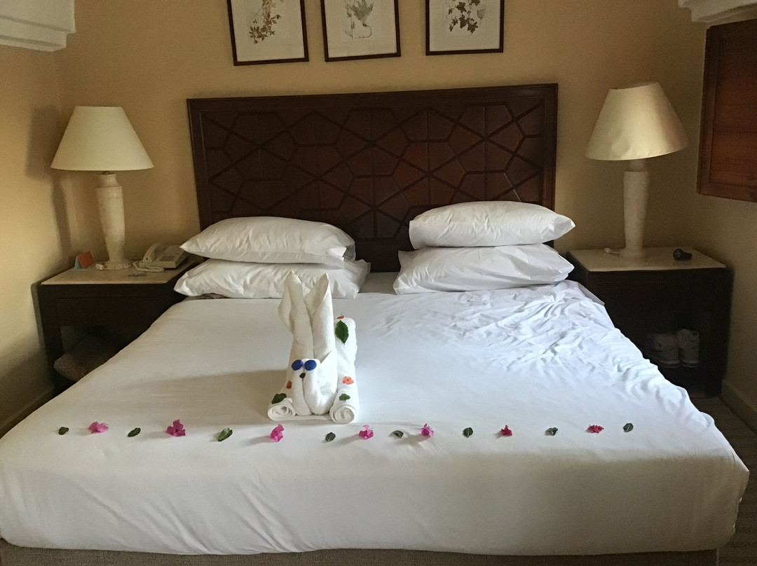 伊贝罗泰尔马卡迪海滩酒店主图