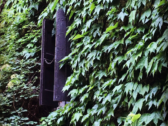 Parco Giardino Tenuta S. Apollonio-Castel Goffredo必去景点