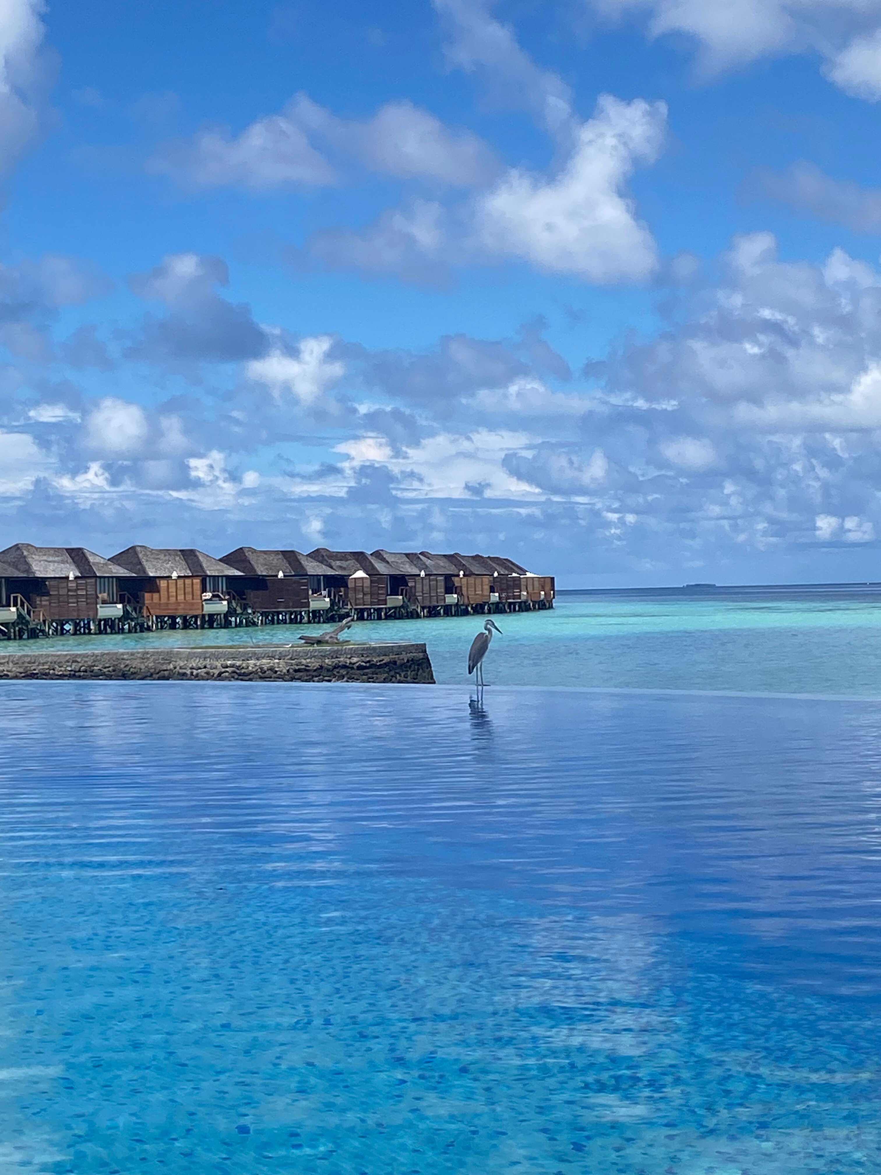 莉莉海滩度假村-泳池