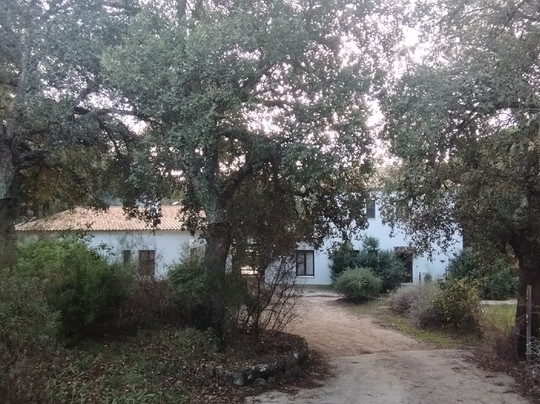 Tambor del Llano主图