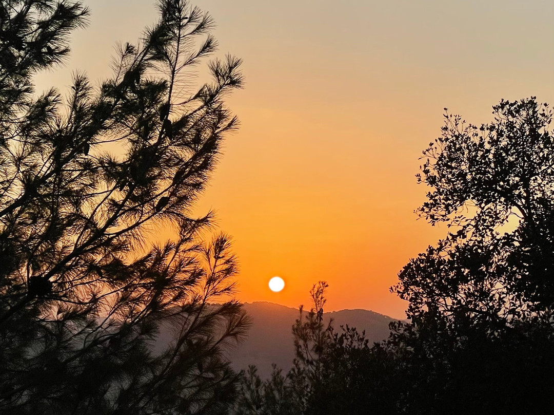 Mountain Breeze Lodge & Resort主图