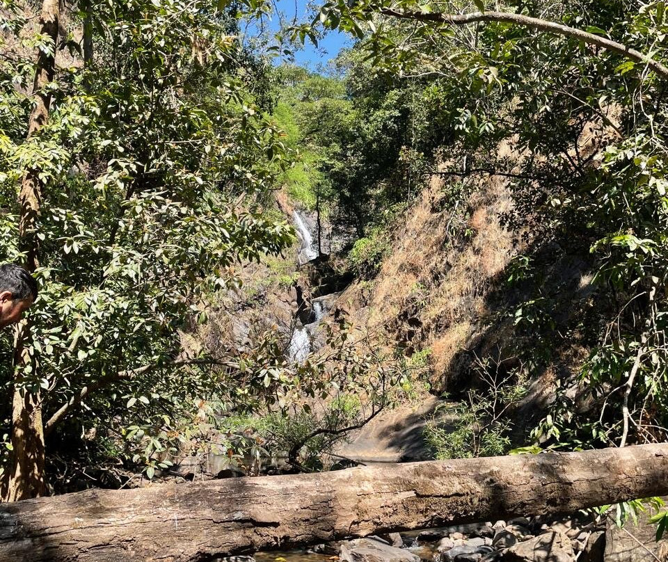 Goa Jungle Adventure-Palolem必去景点