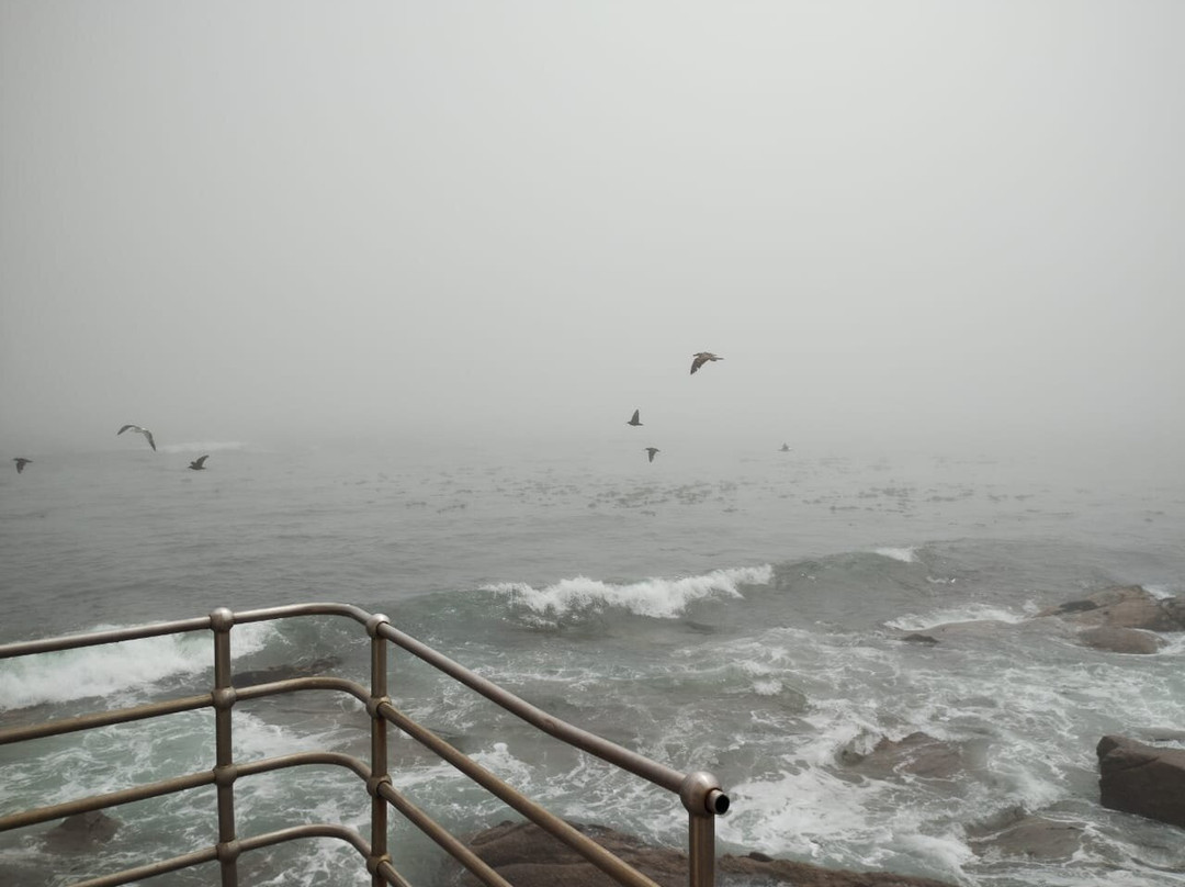 Stompneus Point Lighthouse-St. Helena Bay必去景点