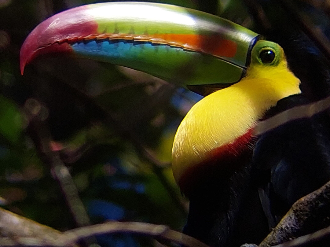 Expiatours Costa Rica