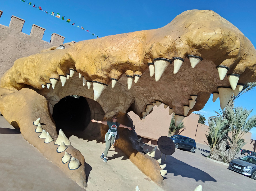 Crocoparc-阿加迪尔必去景点