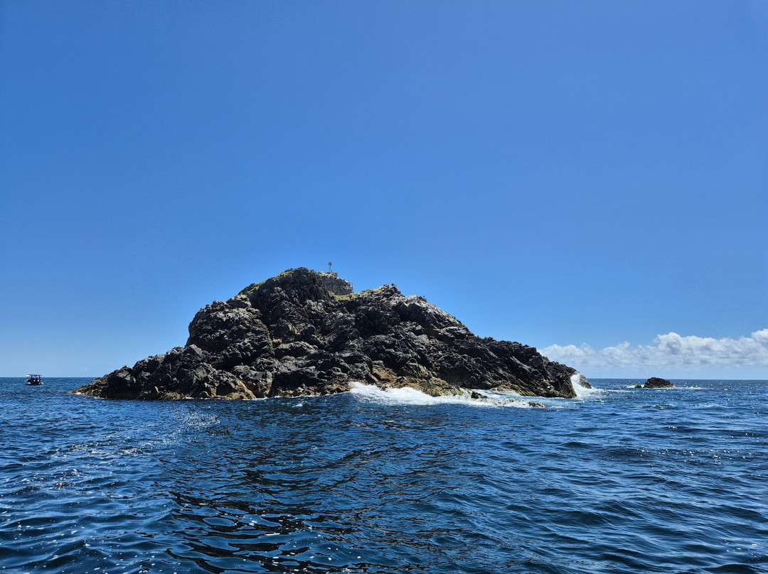 Wild Byron-拜伦湾必去景点