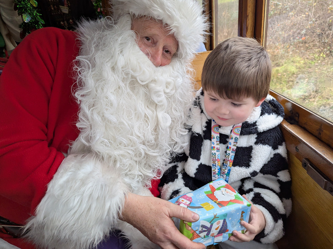 Welshpool and Llanfair Light Railway-Welshpool必去景点