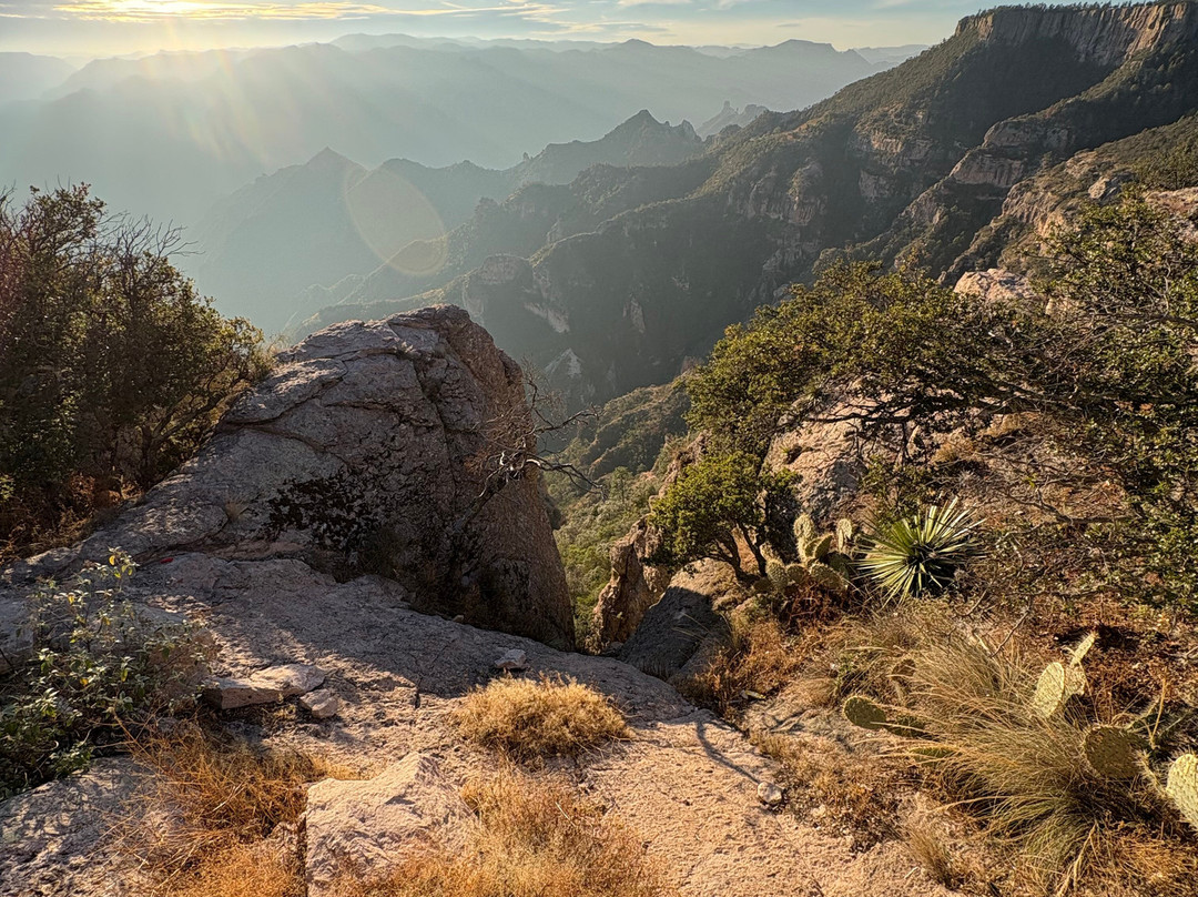 Experience Mex-ECO Tours-Melaque必去景点