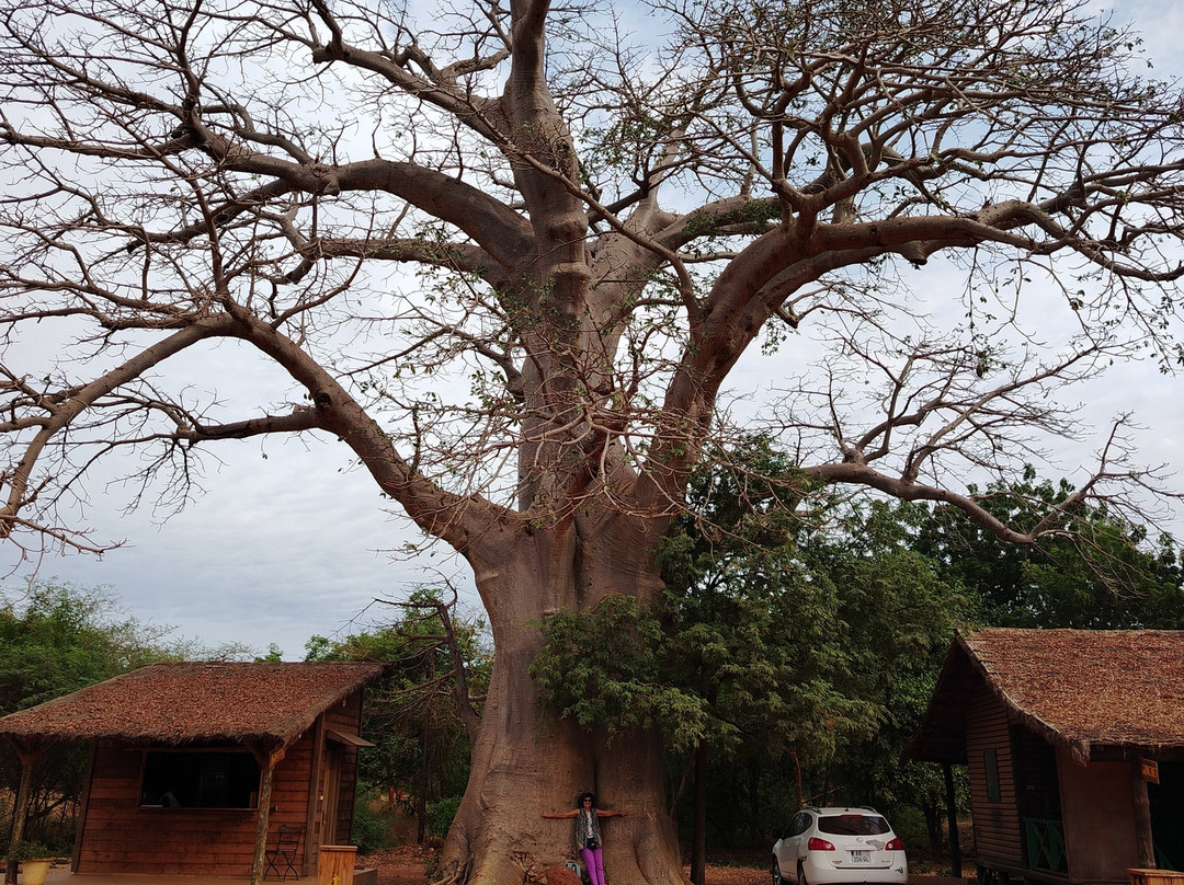 Senegal Raggi di Sole-达喀尔必去景点