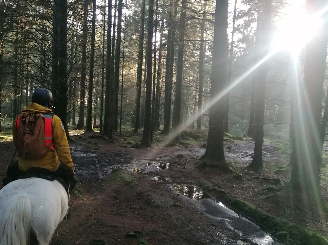 Fell Pony Adventures-温德米尔必去景点