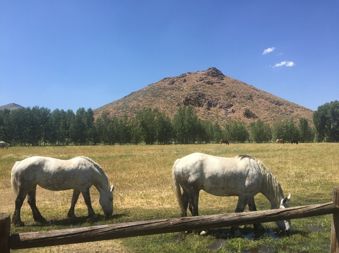 Sun Valley Stables-森瓦利必去景点