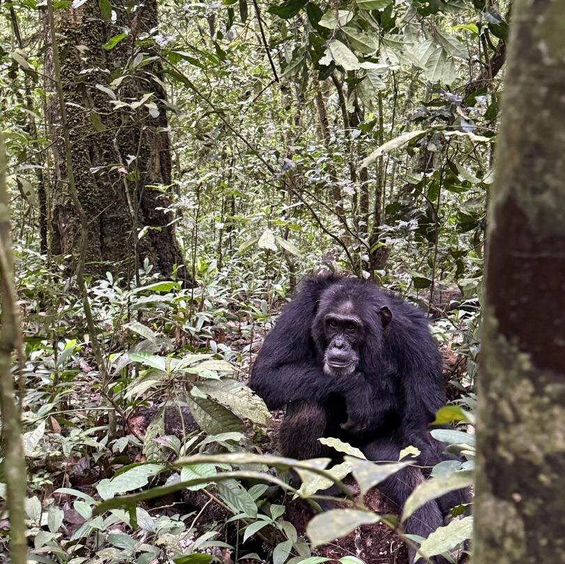 Encounter Africa Safaris-恩德培必去景点