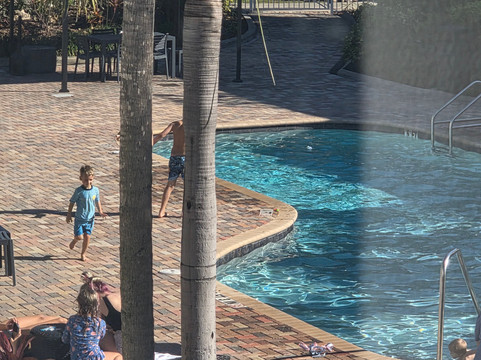 坦帕品质酒店及套房（靠近展览场和娱乐场）主图