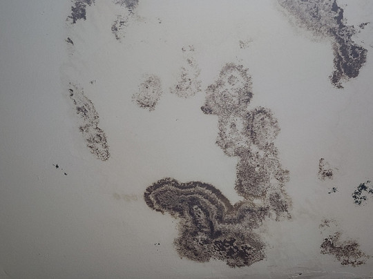 Days Inn by Wyndham Jellico - Tennessee State Line主图