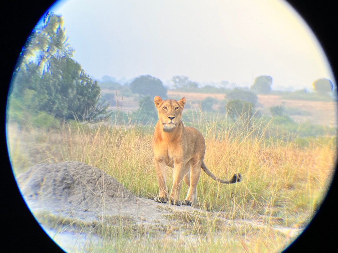 Oikos Safaris-坎帕拉必去景点