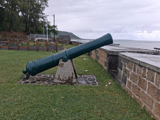 Pointe du diable-Vieux Grand Port必去景点