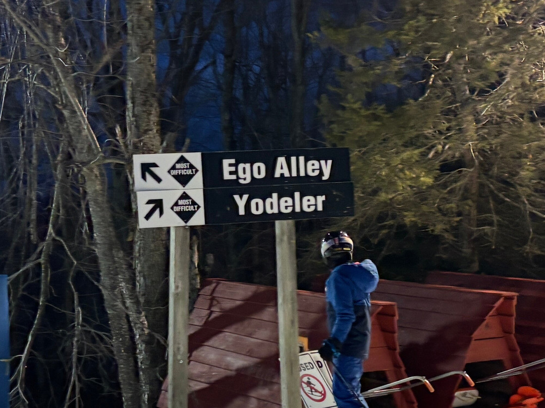 The Boardroom Snowboard Shop