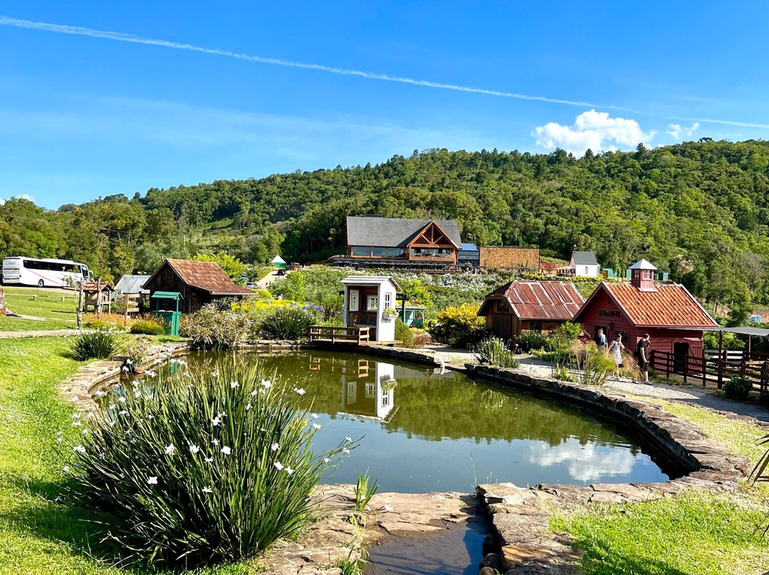 Parque Olivas de Gramado-格拉玛多必去景点
