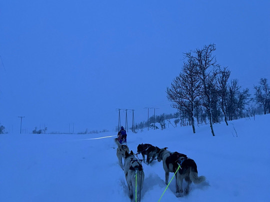 Aurora Husky-特罗姆瑟必去景点