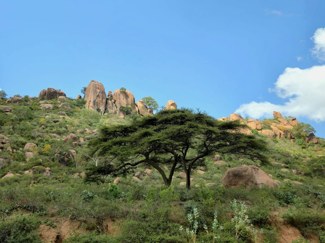 Edom Harar Tours & Car Rentals-哈勒尔必去景点