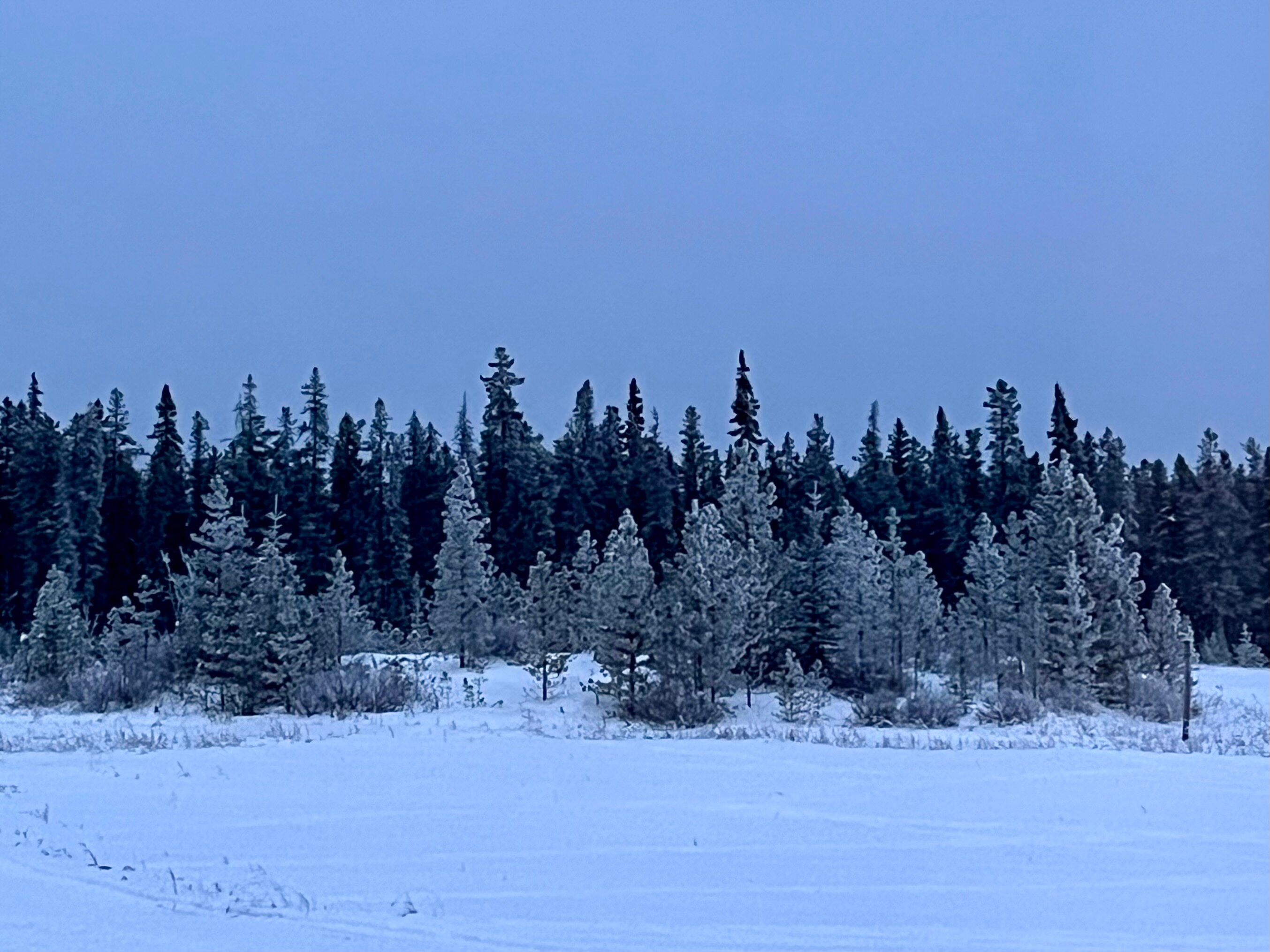 Northern Lights Resort & Spa-酒店景观