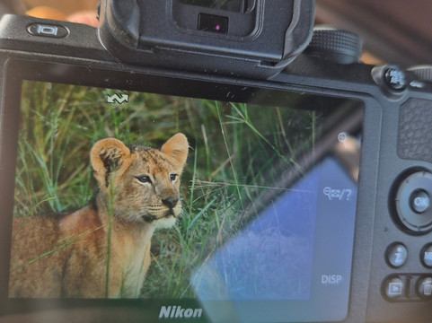 Ways of Africa-内罗毕必去景点