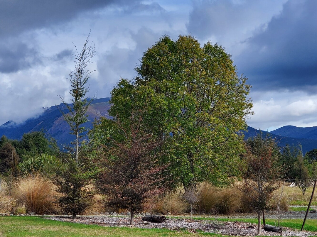 Nelson Lakes Homestay主图