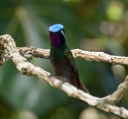Monteverde Tours-Cerro Plano必去景点