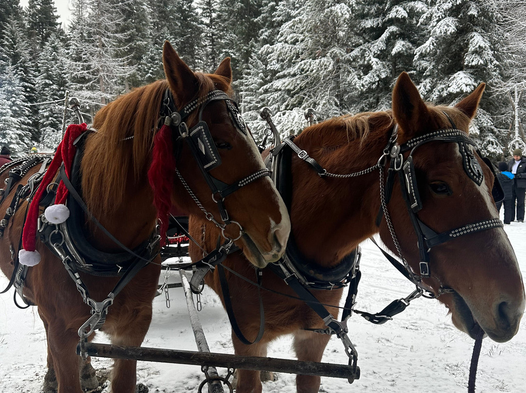 Cripple Creek Horse Ranch-Trego必去景点
