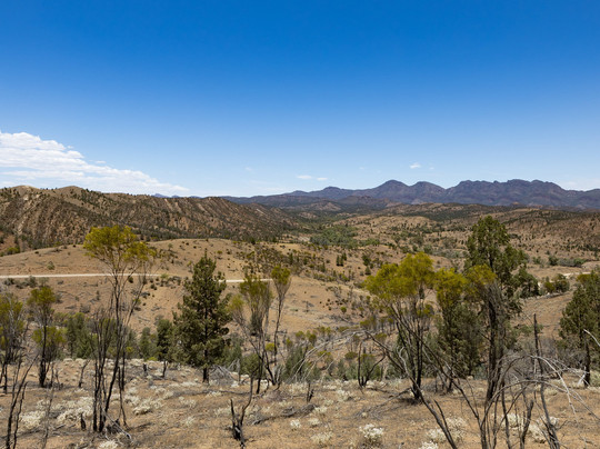 Wallaby Tracks Adventure Tours-阔恩必去景点