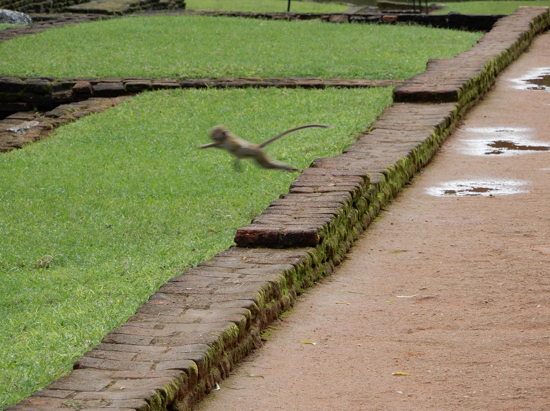 Around Pearl Tours-唐卡拉必去景点